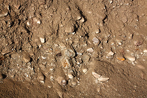 Glacial deposits in the moraine.