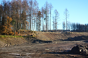 Callander Moraine - southern section.