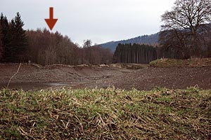 The moraine from the other side of the quarry.